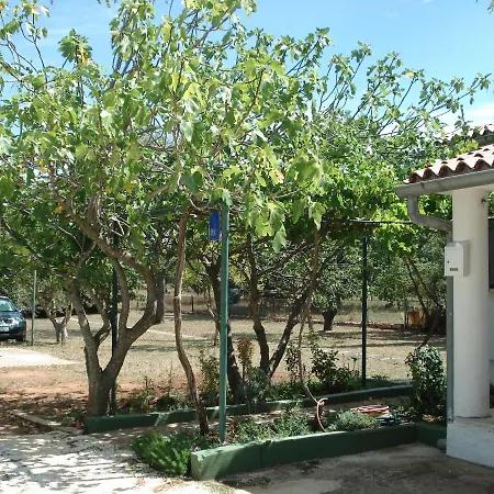 Medel * Медулин